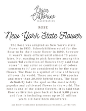 Load image into Gallery viewer, New York State Flower Map Vinyl Sticker
