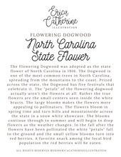 Load image into Gallery viewer, North Carolina State Flower Map Vinyl Sticker

