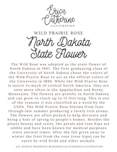 Load image into Gallery viewer, North Dakota State Flower Map Vinyl Sticker
