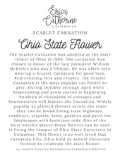 Load image into Gallery viewer, Ohio State Flower Map Vinyl Sticker
