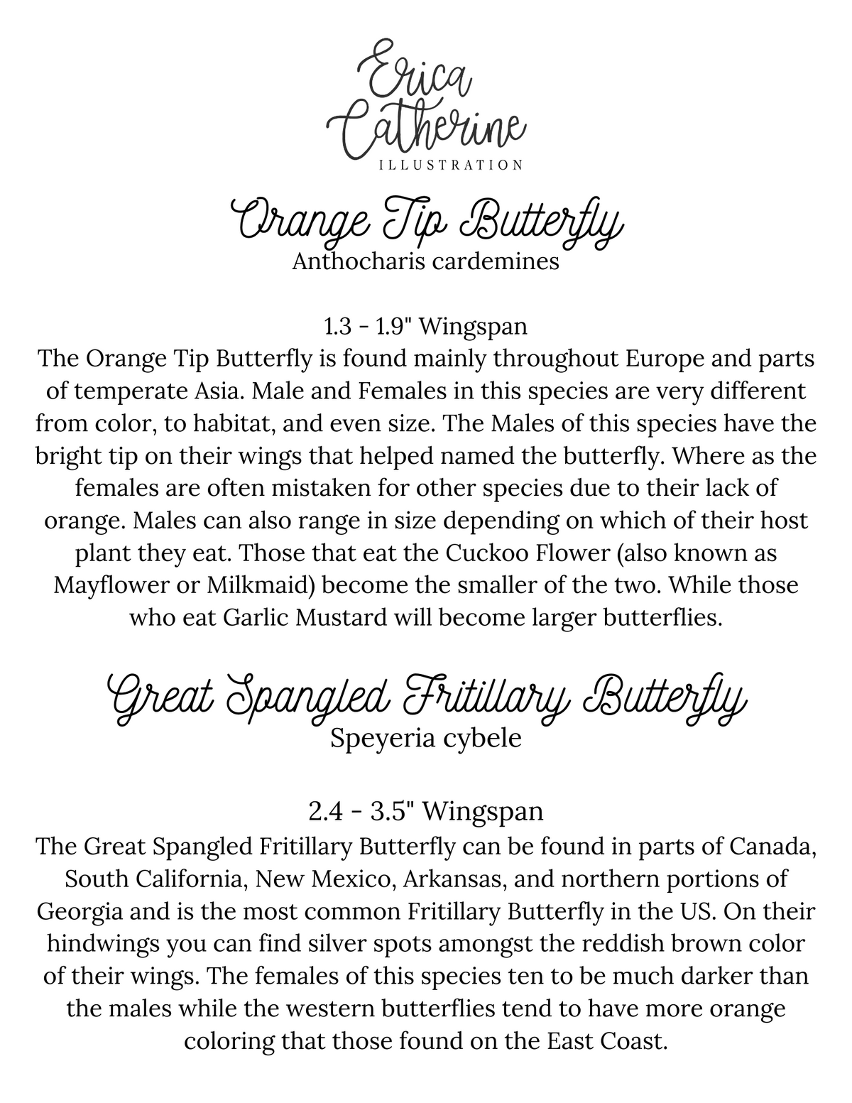 Orange Tip and Great Spangled Fritillary Butterfly Art Print