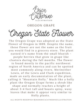 Load image into Gallery viewer, Oregon State Flower Map Vinyl Sticker

