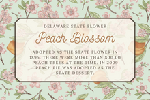 Load image into Gallery viewer, Peach Blossom Tea Towel
