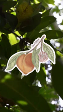Load image into Gallery viewer, Peach Blossom Sticker
