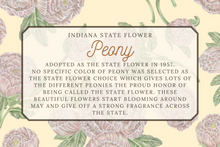 Load image into Gallery viewer, Peony Scarf
