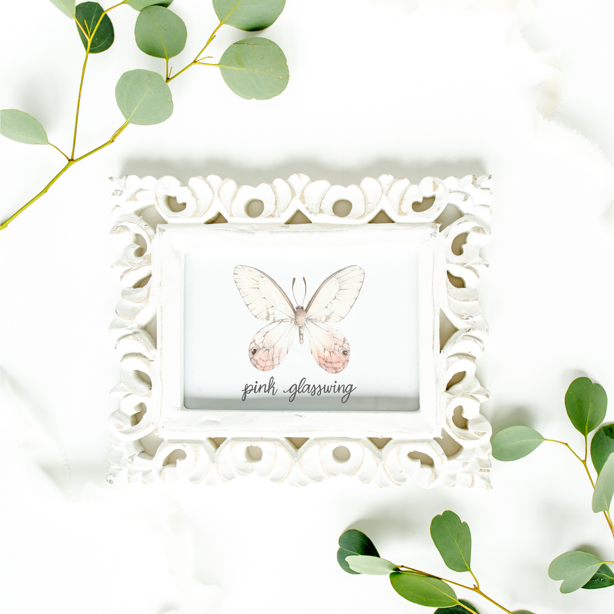 Pink Glasswing Butterfly Art Print