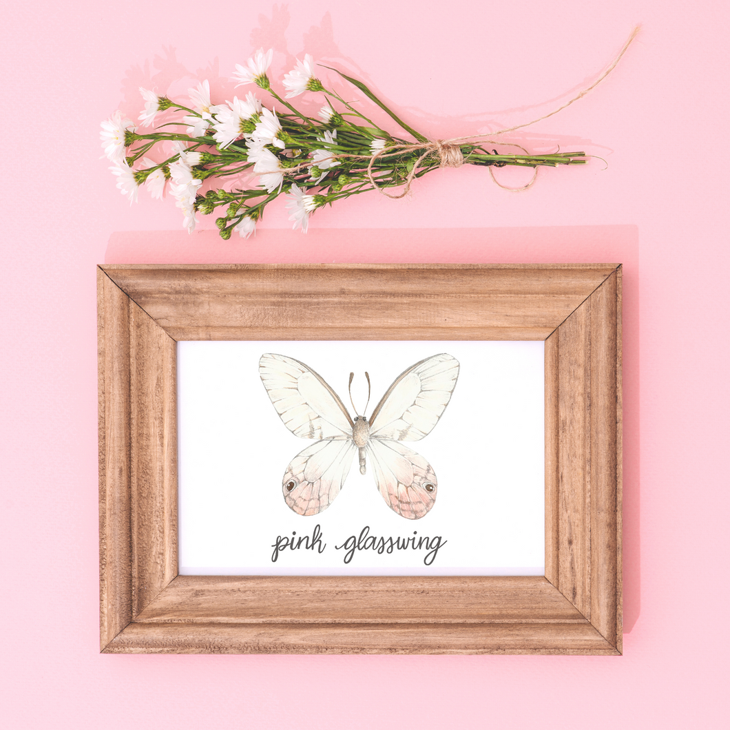 Pink Glasswing Butterfly Art Print
