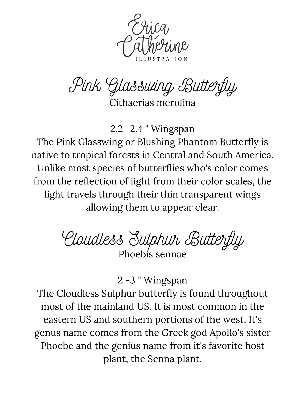 Pink Glasswing and Cloudless Sulphur Butterfly Art Print