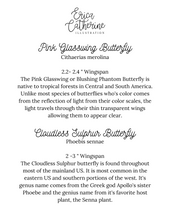 Load image into Gallery viewer, Pink Glasswing and Cloudless Sulphur Butterfly Art Print
