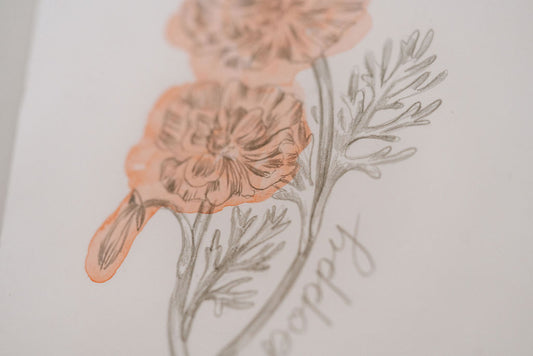 August Birth Flower - Poppy Mini Original  Artwork