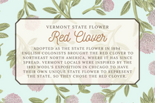 Load image into Gallery viewer, Red Clover Scarf
