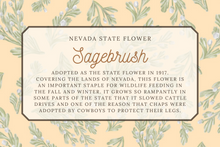 Load image into Gallery viewer, Sagebrush Scarf
