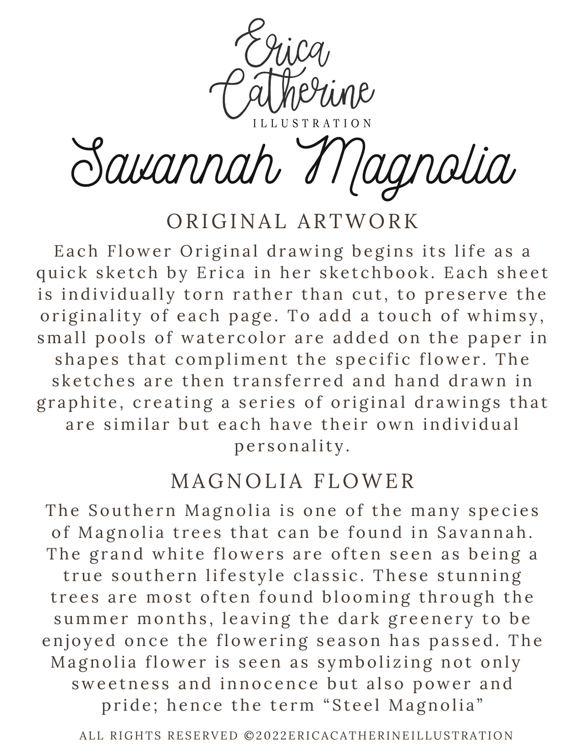Savannah Magnolia Original Illustration