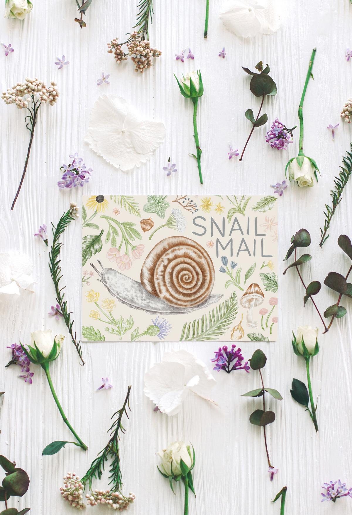 Snail Mail - Greeting Card