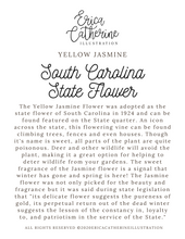 Load image into Gallery viewer, South Carolina State Flower Map Vinyl Sticker
