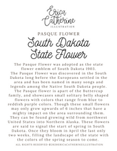 Load image into Gallery viewer, South Dakota State Flower Map Vinyl Sticker
