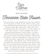 Load image into Gallery viewer, Tennessee State Flower Map Vinyl Sticker

