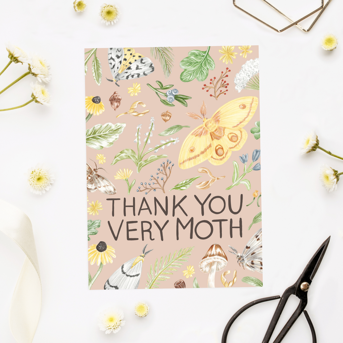 Thank you very Moth Folded Card
