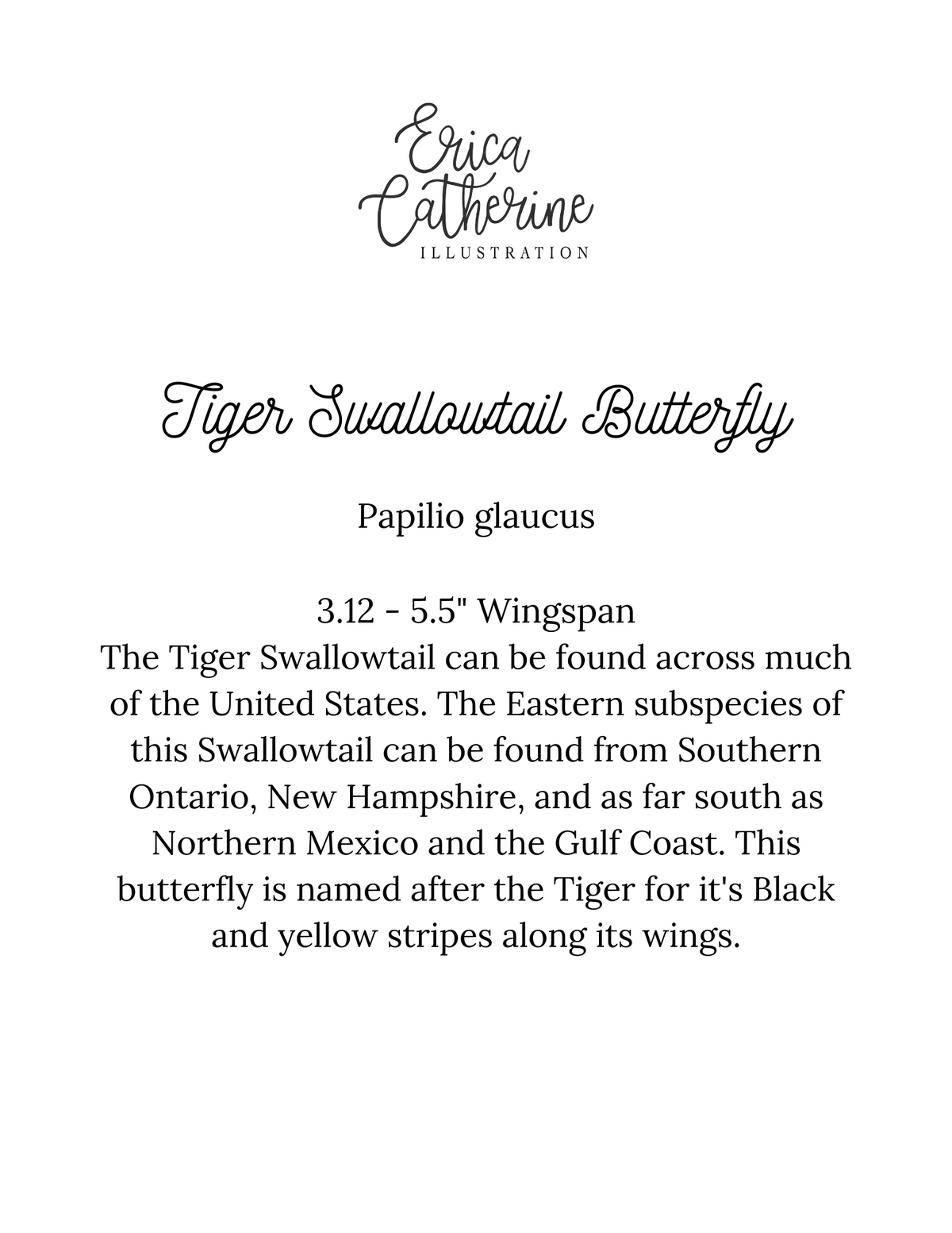 Tiger Swallowtail Butterfly Art Print