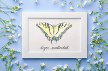 Load image into Gallery viewer, Tiger Swallowtail Butterfly Art Print
