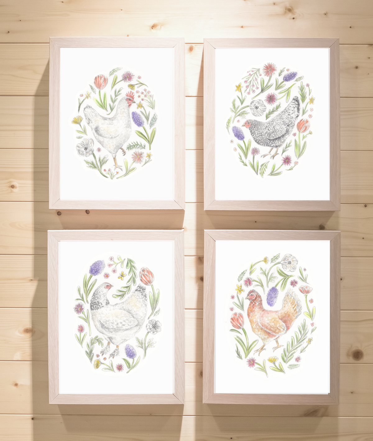 Backyard Chickens Print Series