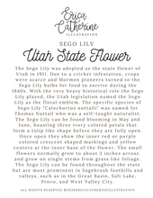 Load image into Gallery viewer, Utah State Flower Map Vinyl Sticker
