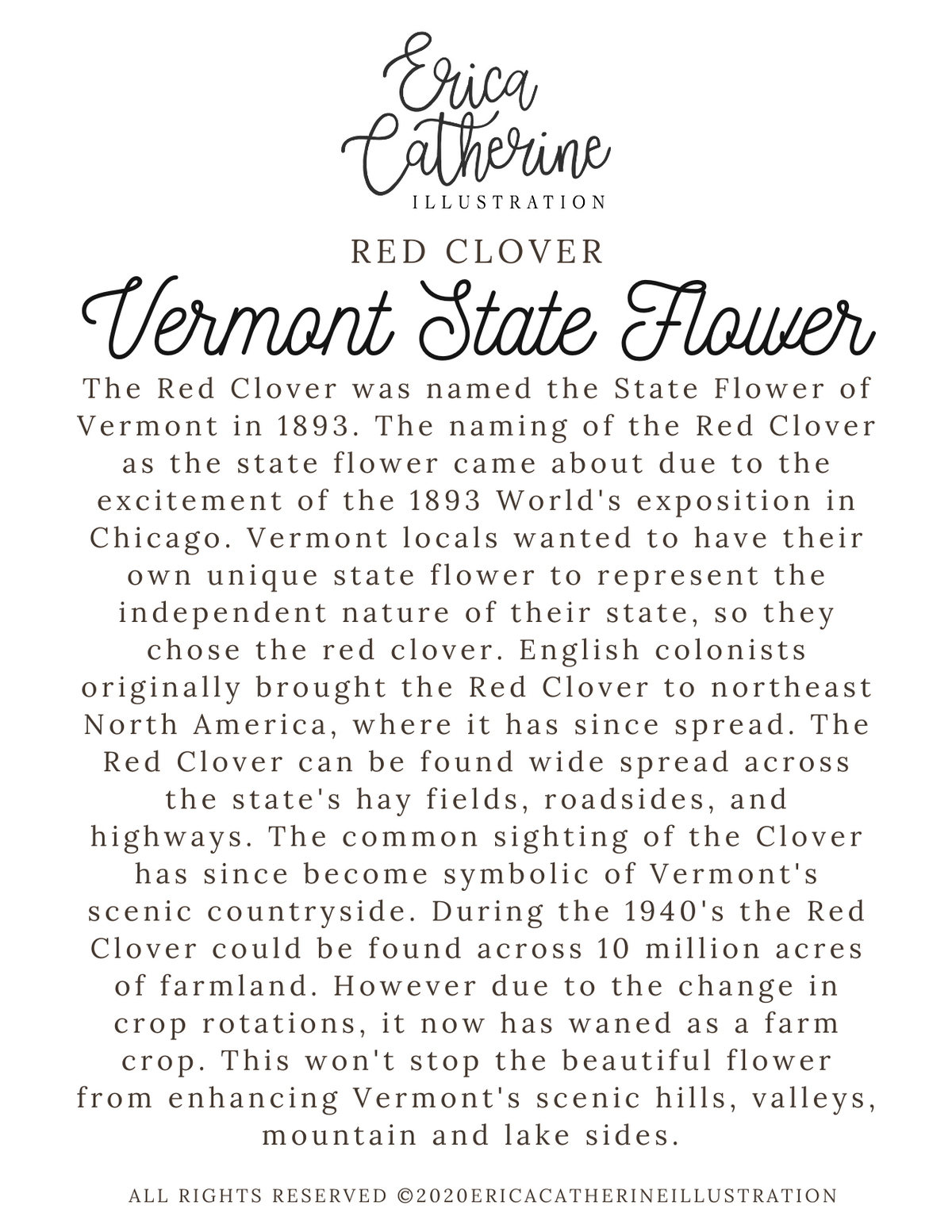 Vermont State Flower Map Vinyl Sticker