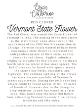 Load image into Gallery viewer, Vermont State Flower Map Vinyl Sticker
