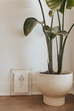 Load image into Gallery viewer, February Birth Flower - Violet Mini Original Artwork
