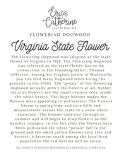 Load image into Gallery viewer, Virginia State Flower Map Vinyl Sticker
