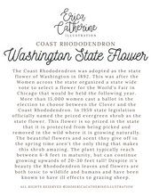 Load image into Gallery viewer, Washington State Flower Map Vinyl Sticker
