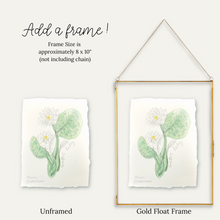 Load image into Gallery viewer, July Birth Flower - Water Lily Mini Original Artwork
