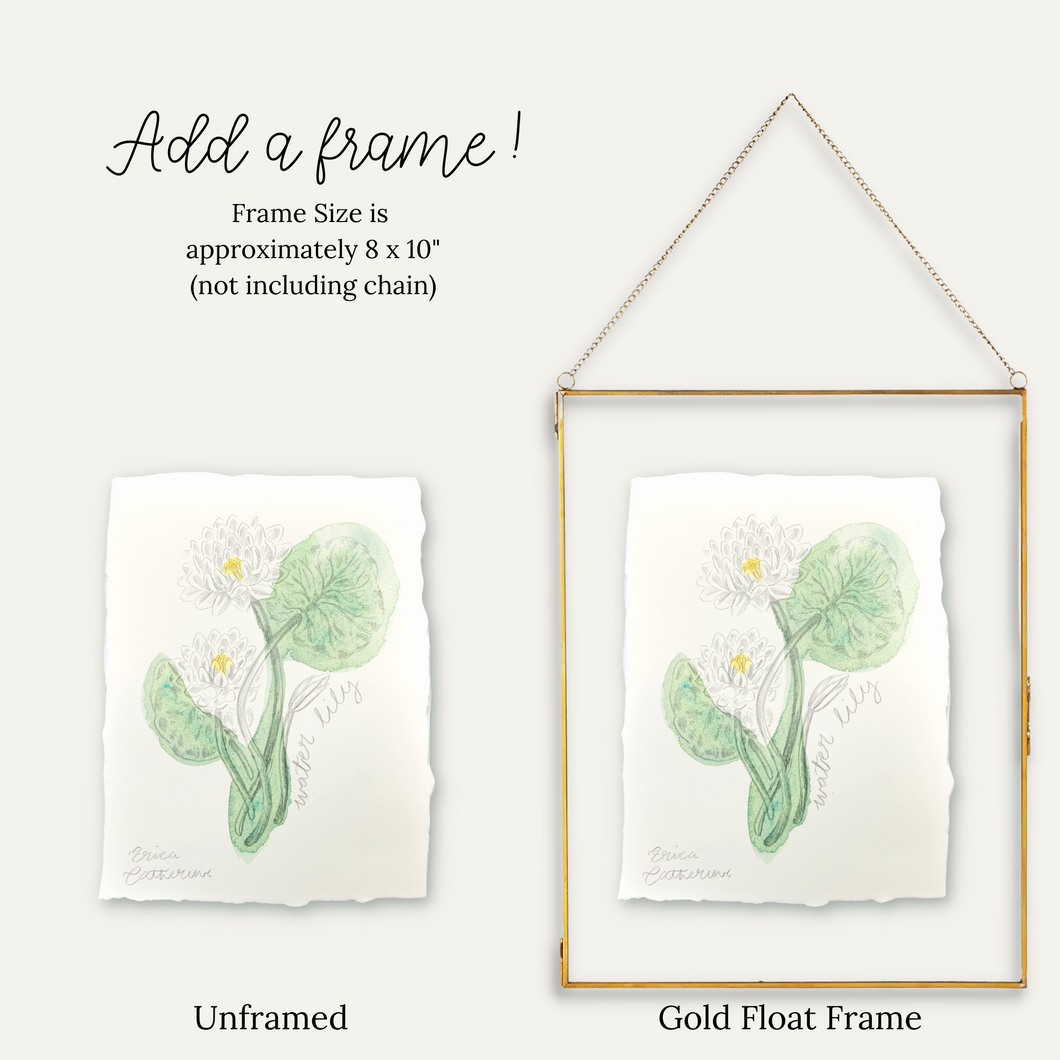 July Birth Flower - Water Lily Mini Original Artwork