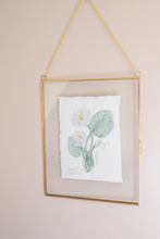 Load image into Gallery viewer, July Birth Flower - Water Lily Mini Original Artwork
