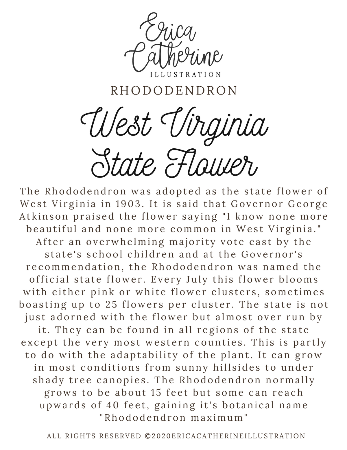 West Virginia State Flower Map Vinyl Sticker