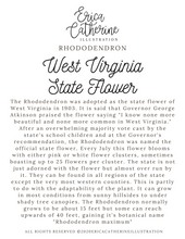 Load image into Gallery viewer, West Virginia State Flower Map Vinyl Sticker
