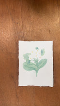 Load and play video in Gallery viewer, May Birth Flower - Hawthorn Mini Original Drawing
