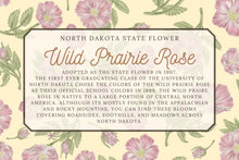 Load image into Gallery viewer, Wild Prairie Rose Scarf
