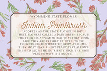 Load image into Gallery viewer, Indian Paintbrush Scarf
