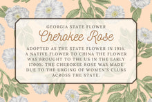 Load image into Gallery viewer, Cherokee Rose Scarf
