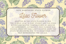 Load image into Gallery viewer, Lilac Tea Towel
