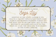 Load image into Gallery viewer, Sego Lily Scarf - Utah State Flower

