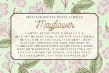 Load image into Gallery viewer, Mayflower Floral Scarf
