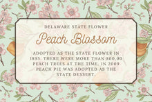 Load image into Gallery viewer, Peach Blossom Scarf
