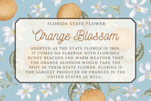 Load image into Gallery viewer, Orange Blossom Scarf
