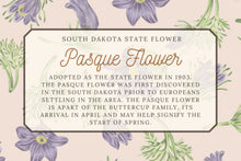 Load image into Gallery viewer, Pasque Flower Scarf
