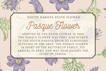Load image into Gallery viewer, Pasque Flower Scarf
