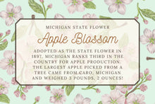 Load image into Gallery viewer, Apple Blossom Tea Towel
