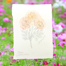 Load image into Gallery viewer, October Birth Flower - Cosmos Mini Original Drawing
