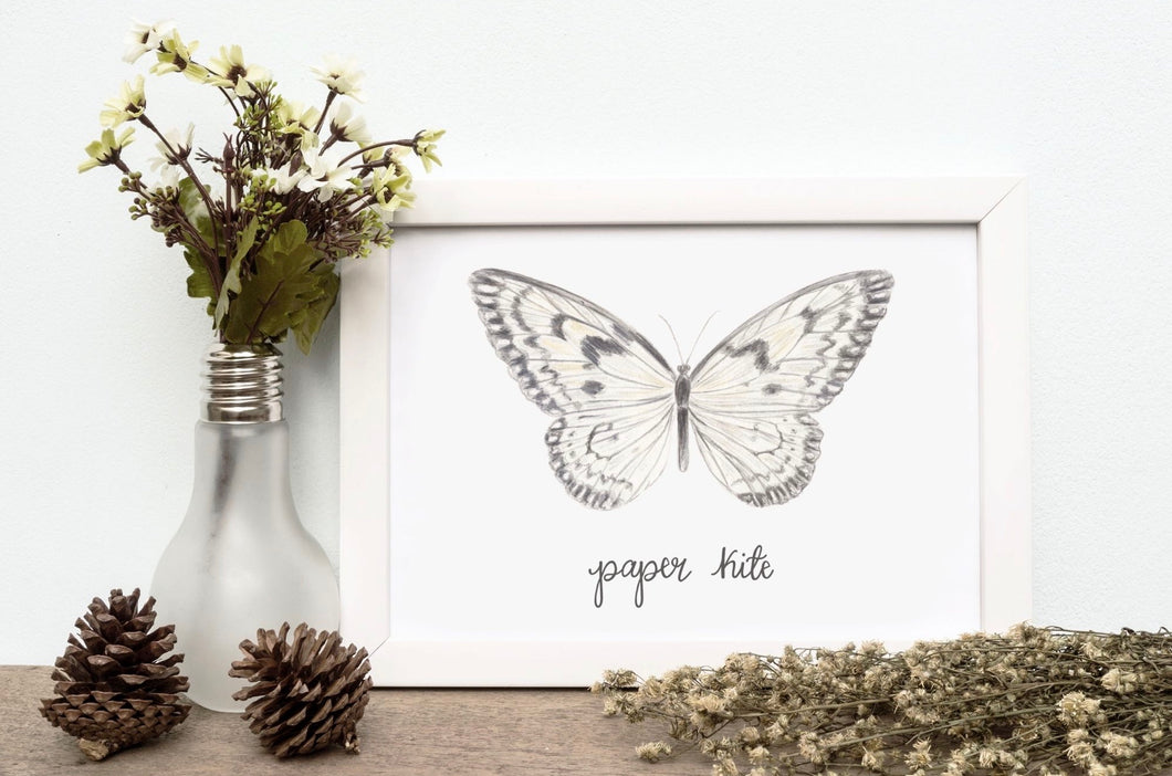 Paper Kite Butterfly Print